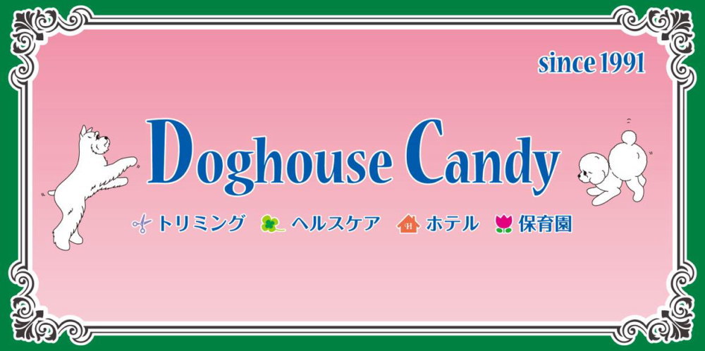 ペットサロン ドッグハウス キャンディー ホームページ トリミング